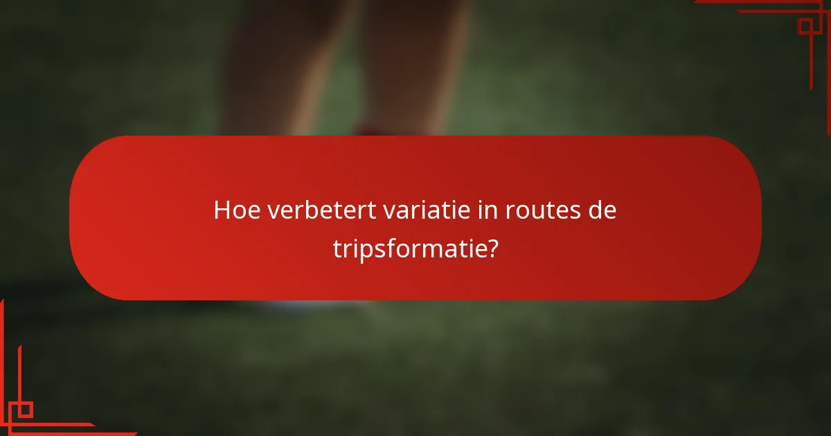 Hoe verbetert variatie in routes de tripsformatie?