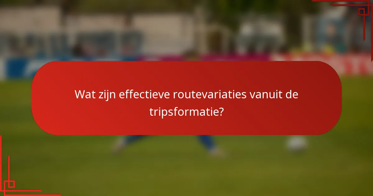 Wat zijn effectieve routevariaties vanuit de tripsformatie?